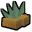 Agave fruit old.png