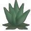 Agave b.png