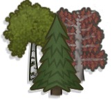 Trees preview.png