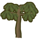 Cecropia tree