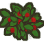 Strawberry plant.png