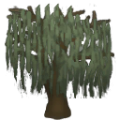 Willow tree a old.png