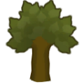 Teak tree a.png