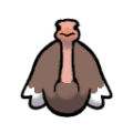 Female Ostrich south.png