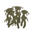 Chokevine leafless.png