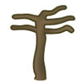 Cecropia tree leafless.png