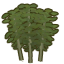 Bamboo tree.png